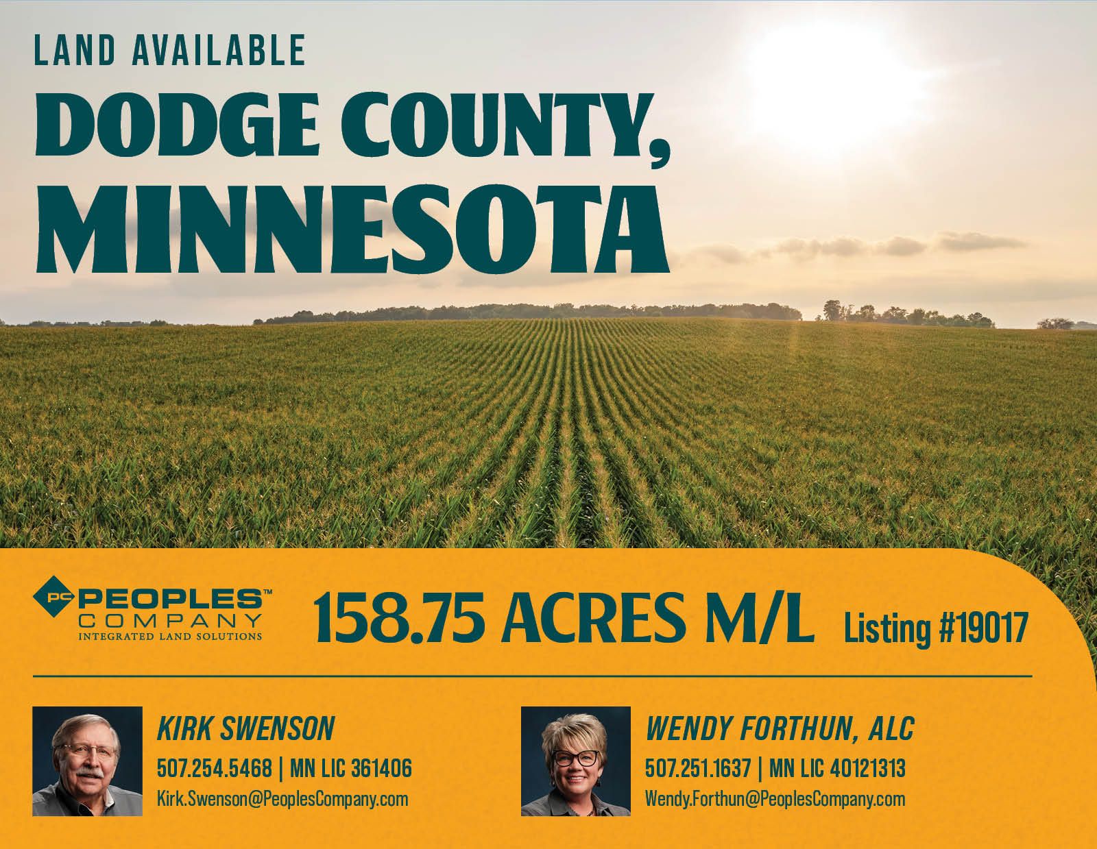 Listing #19017